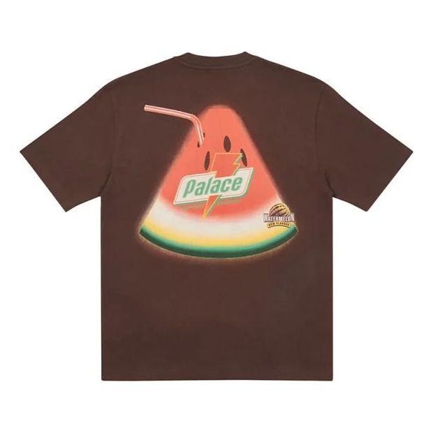 

Футболка PALACE Sugar T-Shirt Logo Short Sleeve Unisex Brown, коричневый