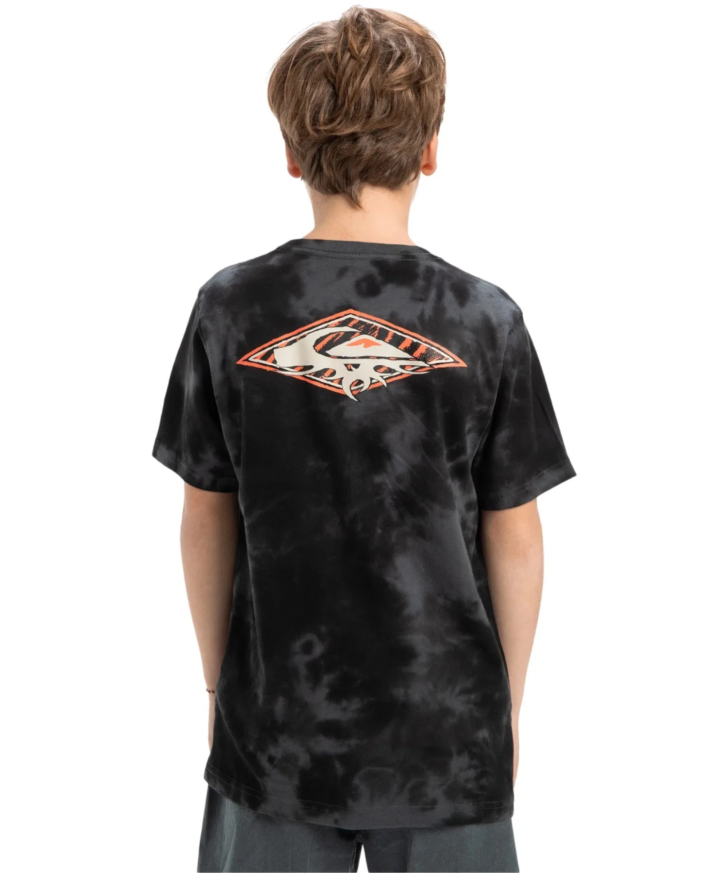 Детская футболка Quiksilver FROG RITUAL SS TEE YOUTH — фото 3