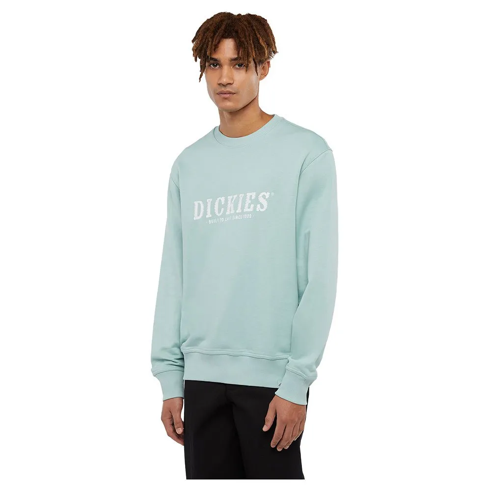 

Толстовка Dickies Script, синий