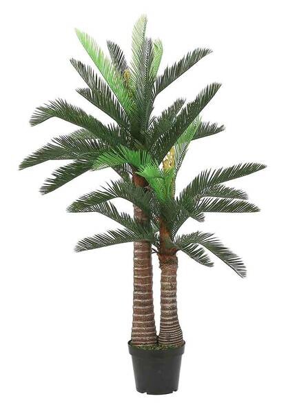 

Декоративное растение Mica Decorations Cycas, зеленый