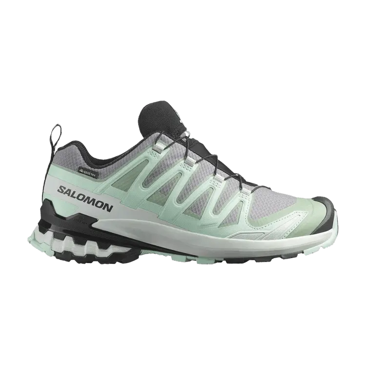 Кроссовки Salomon Wmns XA Pro 3D V9 GORE-TEX, Quiet Shade