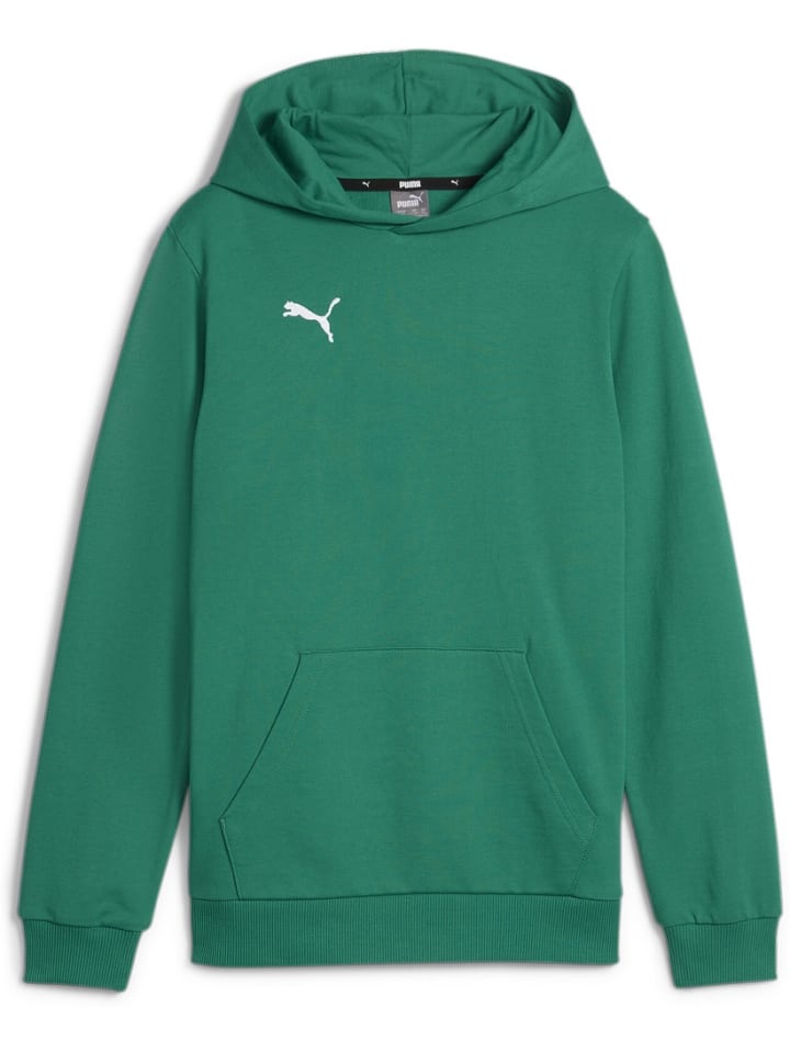 

Puma Худи "TeamGoal CasuaLongsleeve Hoody Jr" зеленого цвета