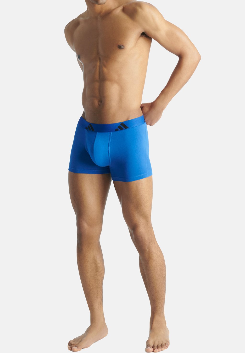 

Брюки 6-PACK adidas Sportswear, синий