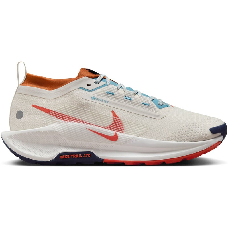 

Кроссовки Pegasus Trail 5 GTX Nike, мультиколор