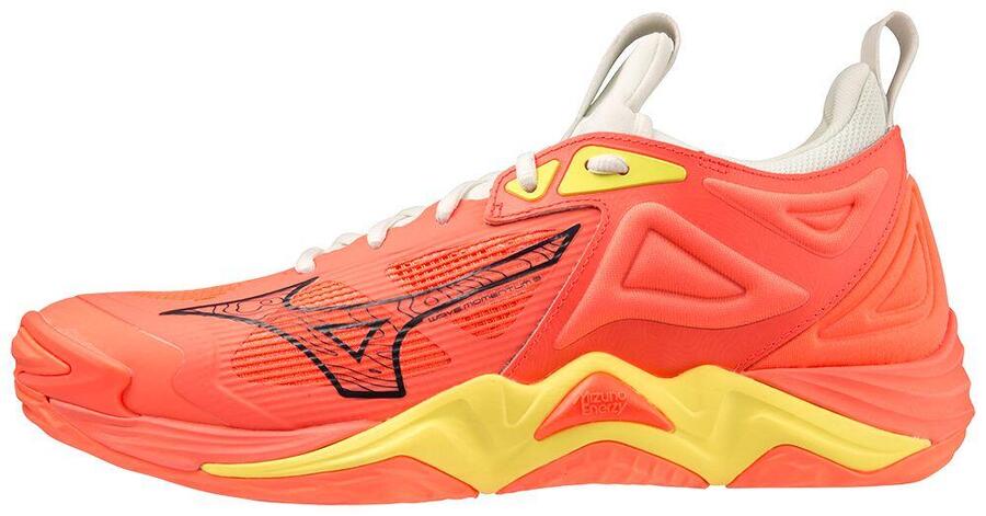 

Кроссовки для дома Mizuno Wave Momentum 3