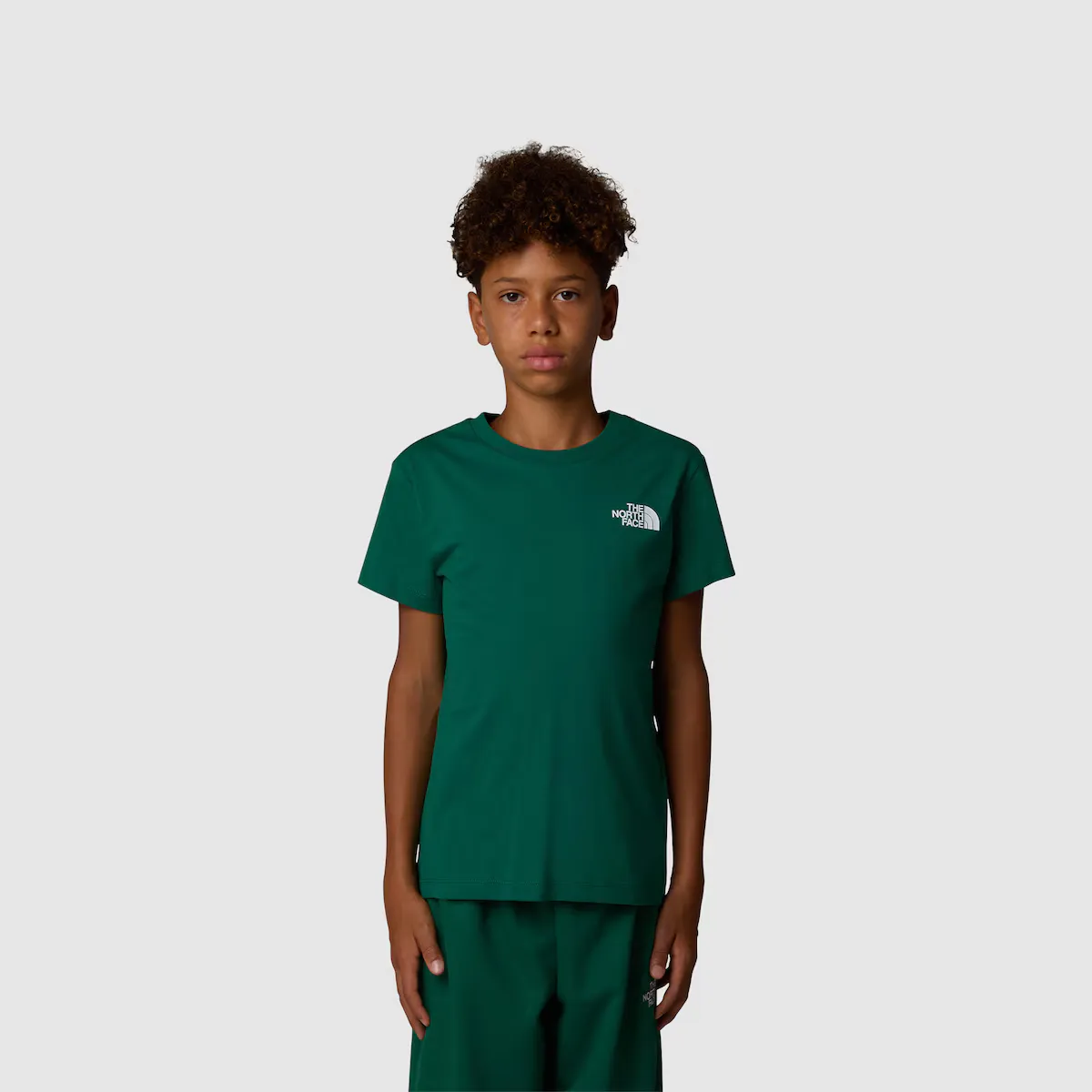 

Футболка для мальчиков Redbox The North Face, зеленый