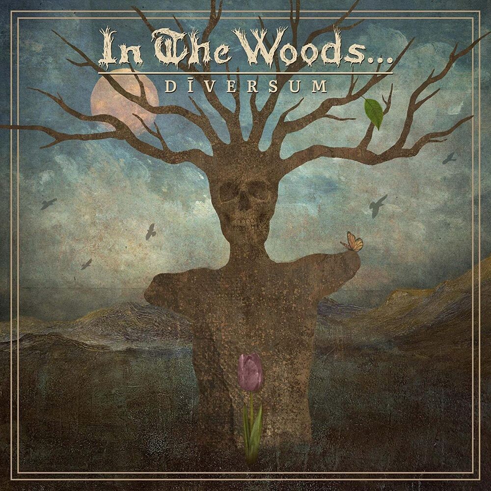 

Виниловая пластинка LP Diversum [White & Brown Vinyl] - In The Woods...