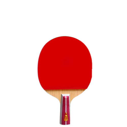 

Ракетка для настольного тенниса DOUBLEFISH All Wood DOUBLE FISH, double fish 2a+new two-star ping pong paddle, penhold grip single racket