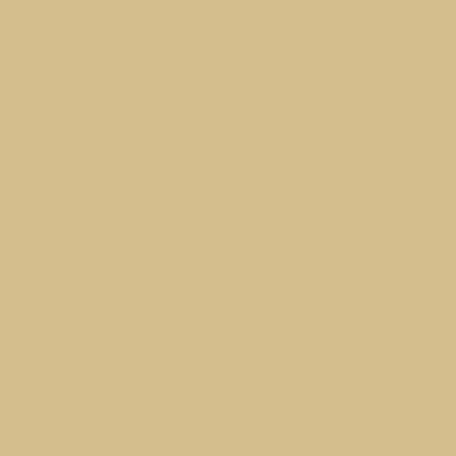 

Светлый камень RAL 61, Paints - Browns, Blacks, Whites, & Greys (Mission Models)