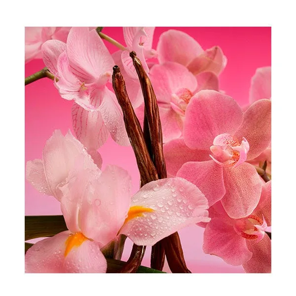 Парфюмерная вода для женщин CALVIN KLEIN Euphoria Magnetic Elixir — фото 4