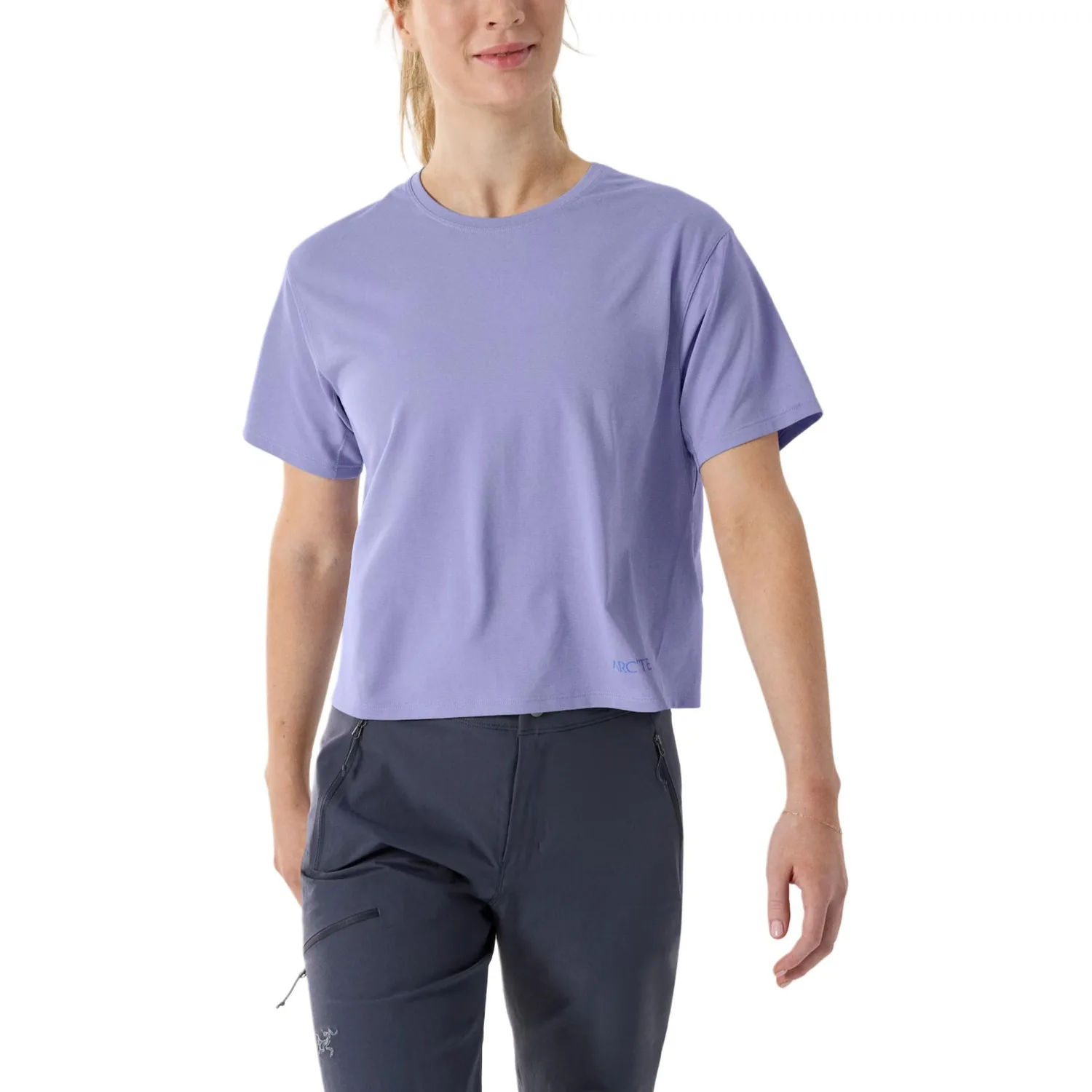 Футболка Taema Series Arcteryx, Iridescent Blue/Moonstone Htr/Electra
