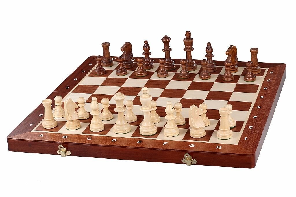 

Турнир по шахматам № 5 «Восход», игра-головоломка, Sunrise Chess & Games