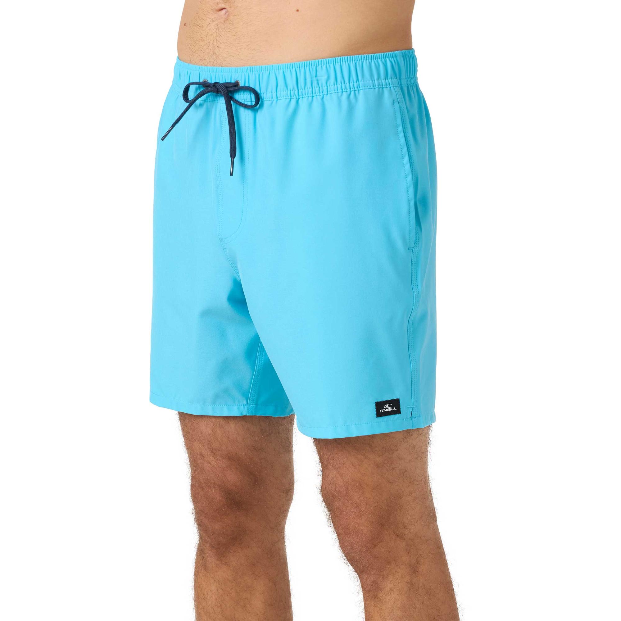 

Мужские волейбольные шорты Lennox Hermosa Solid 17 дюймов. O'Neill, Aquarius