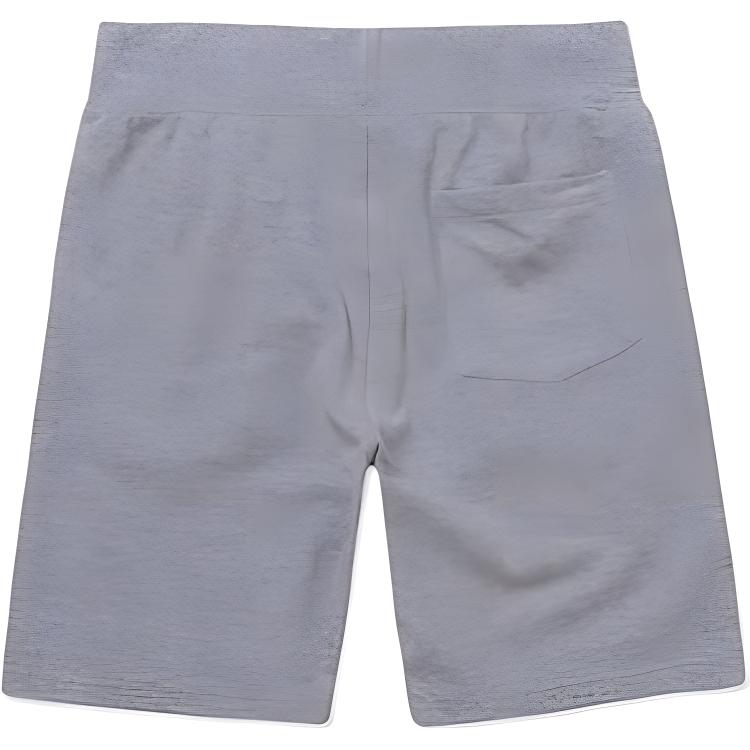 Повседневные шорты мужские Gray Polo Ralph Lauren, серый — фото 4