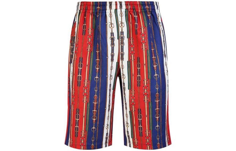 

Повседневные шорты мужские многоцветные Gucci, цвет Multicolor