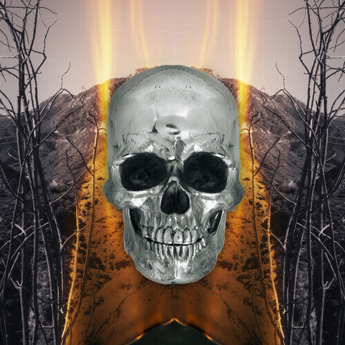 

CD диск Neverly Boys: Dark Side Of Everything