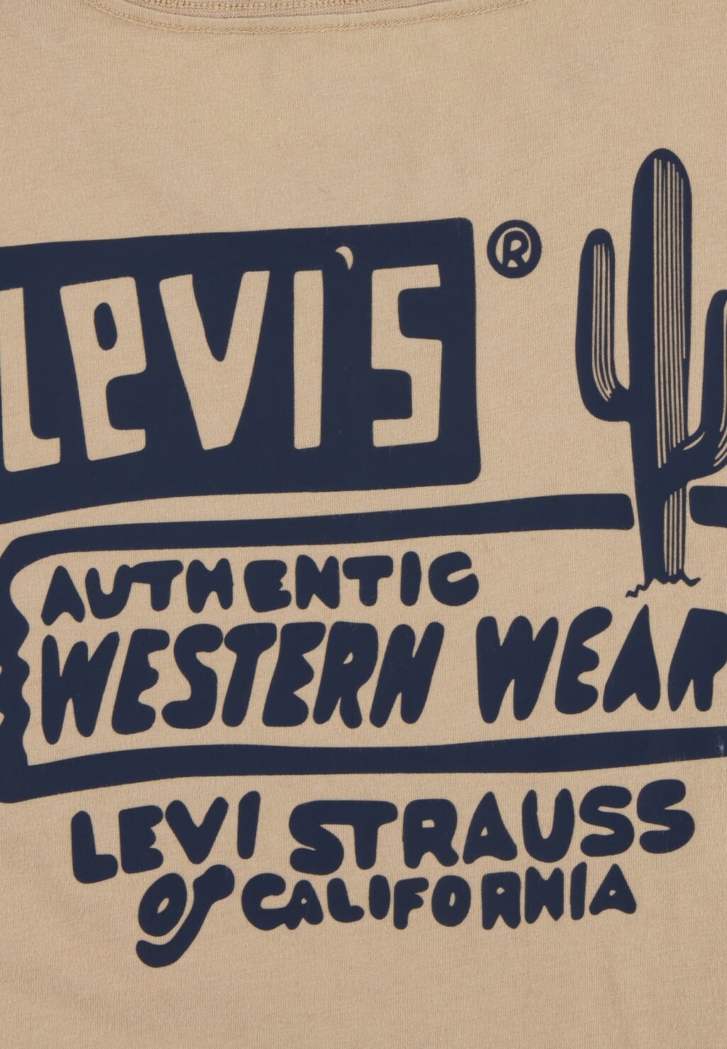 

Футболка CACTUS OUT WEST TEE Levi's, бежевый