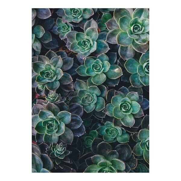 

Картина на холсте A.S. Création Succulents, зеленый