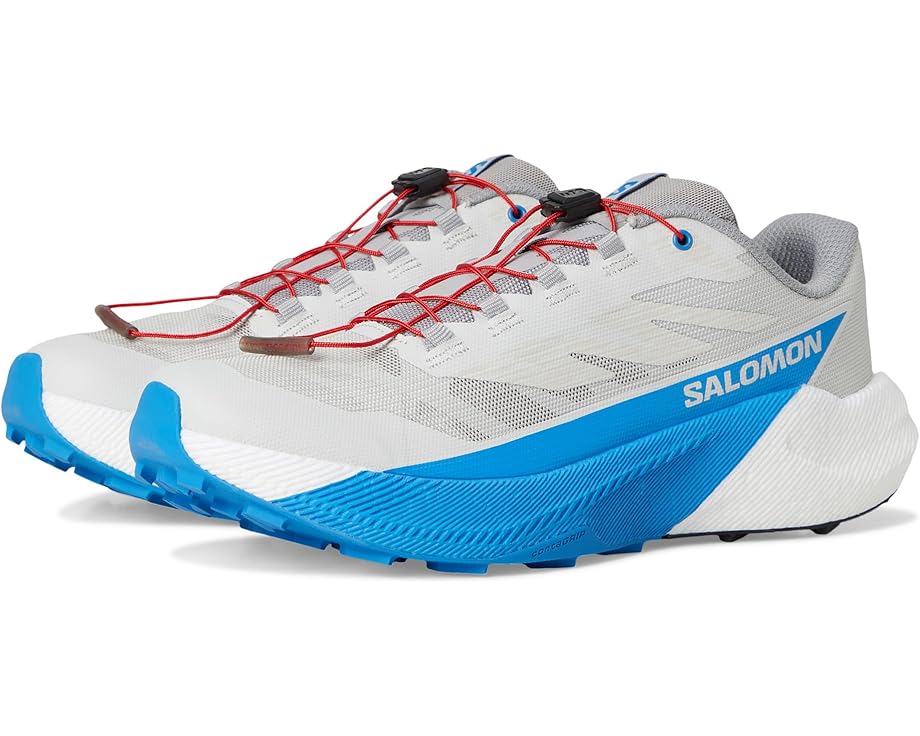 

Мужские кроссовки Salomon Pulsar, Lunar Rock/White/French Blue