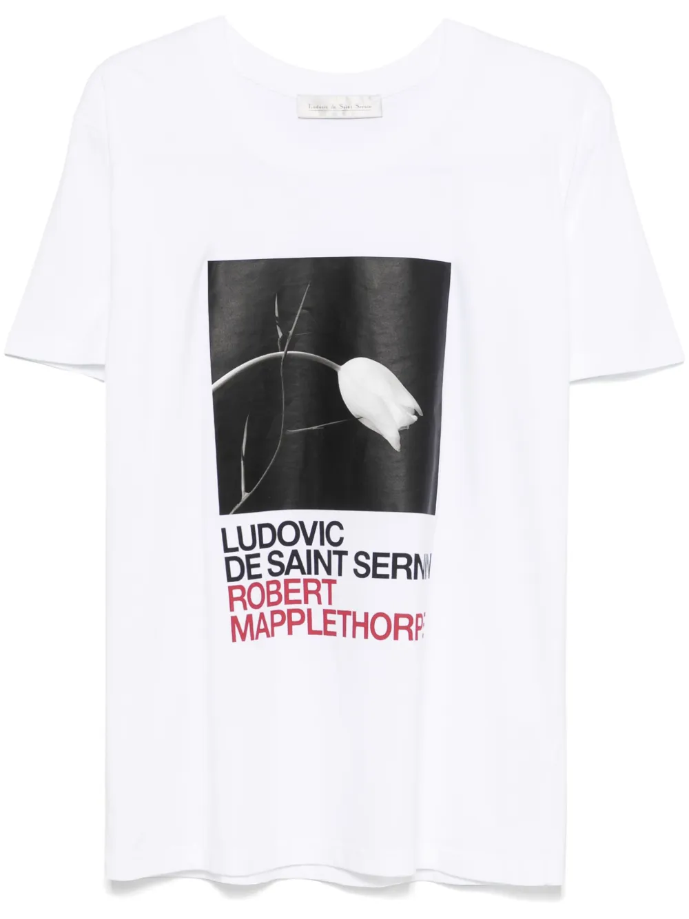

Футболка с принтом Tulip and Thorn из коллаборации с Robert Mapplethorpe Ludovic de Saint Sernin, белый