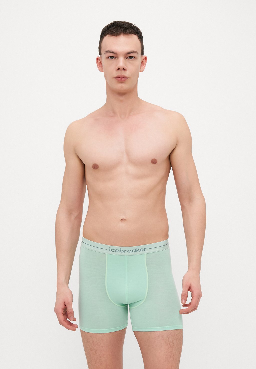 

Брюки MEN ANATOMICA icebreaker, зеленый