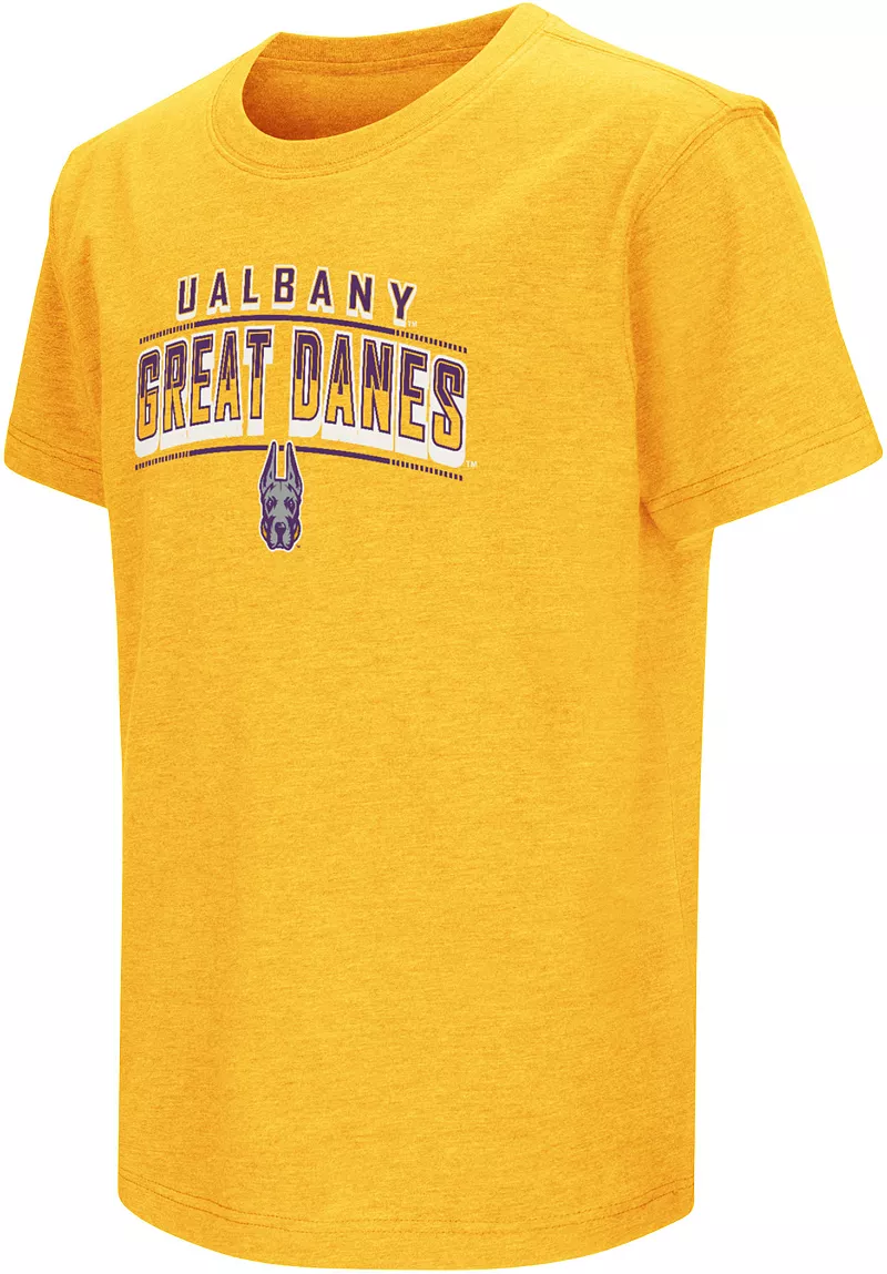 

Золотая футболка Colosseum Youth Albany Great Danes
