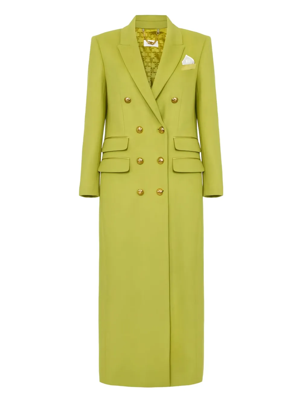 

Двубортное пальто с платком в кармане Elisabetta Franchi, зеленый