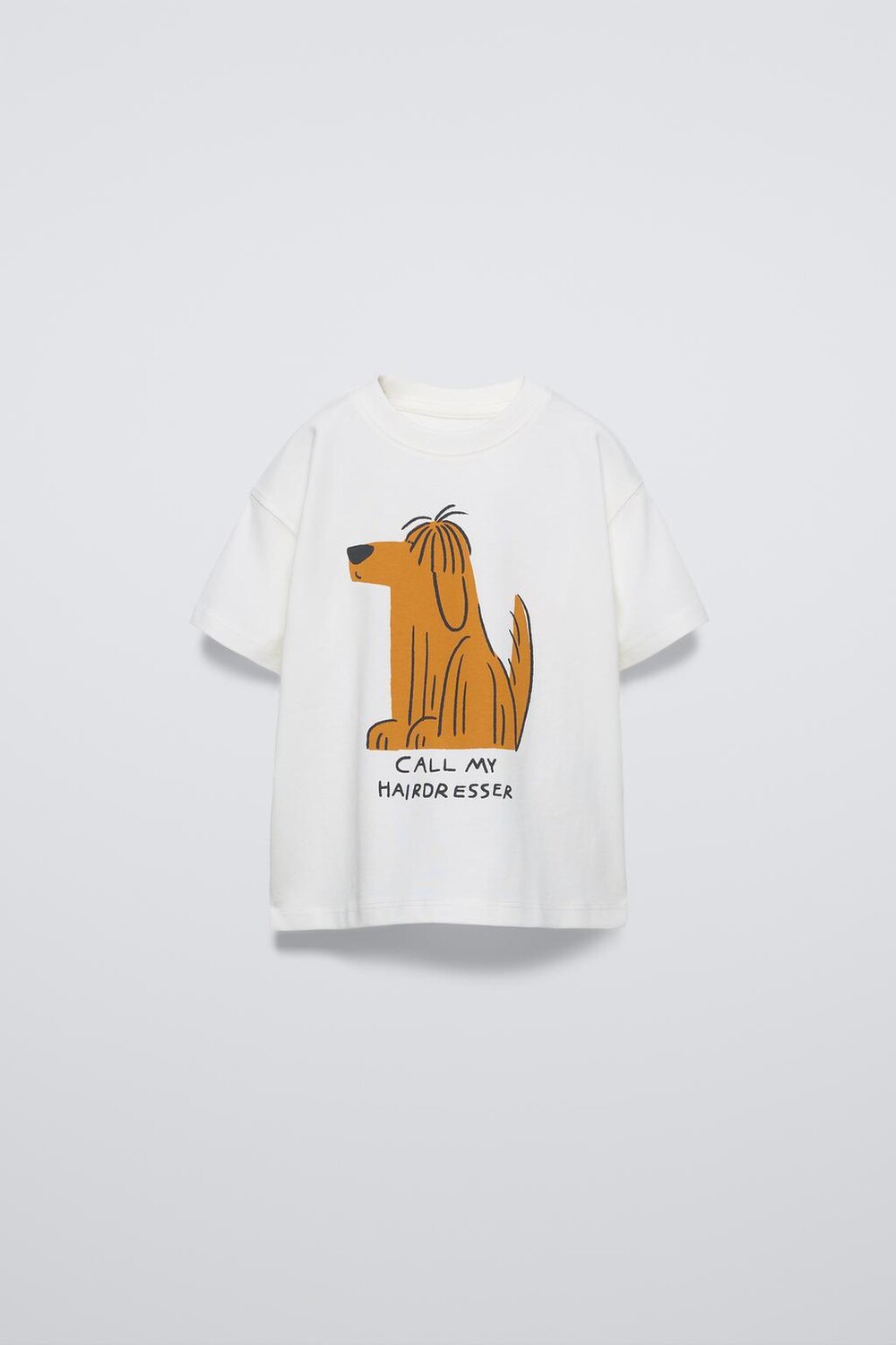 

Футболка с принтом ZARA, белый