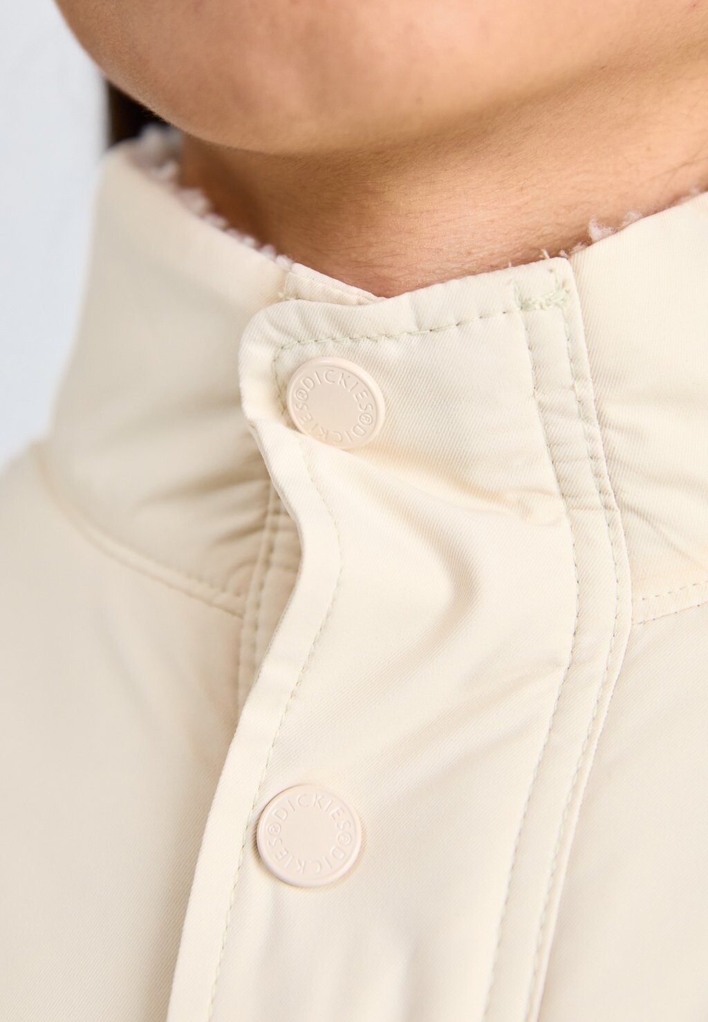 

Зимняя куртка BUILT UP MOUNT HOPE Dickies, бежевый