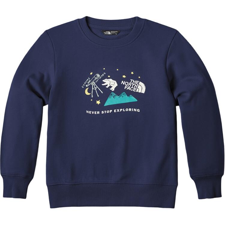

Толстовка GS The North Face