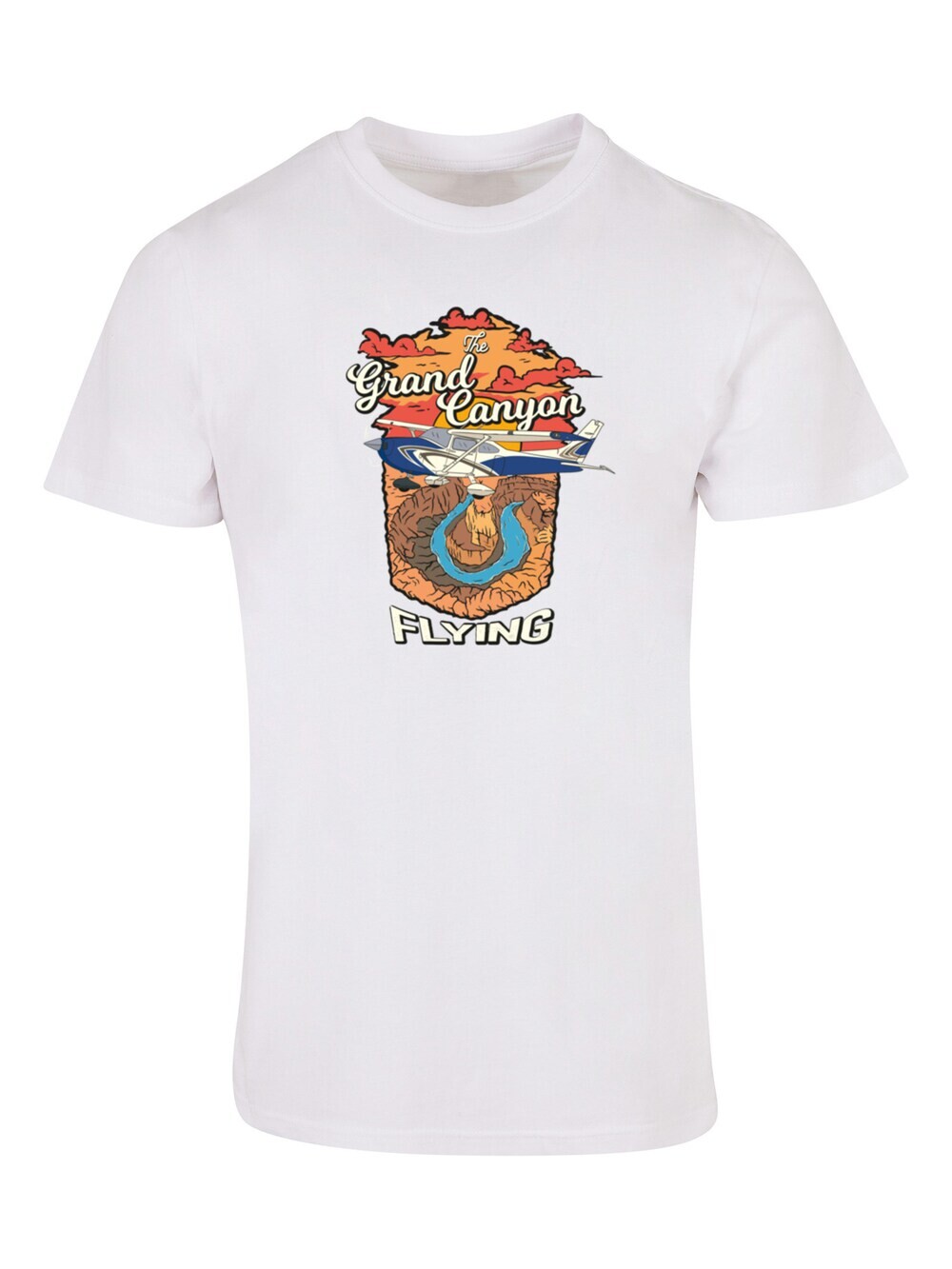 

Футболка F4Nt4Stic Grand Canyon Flying, белый
