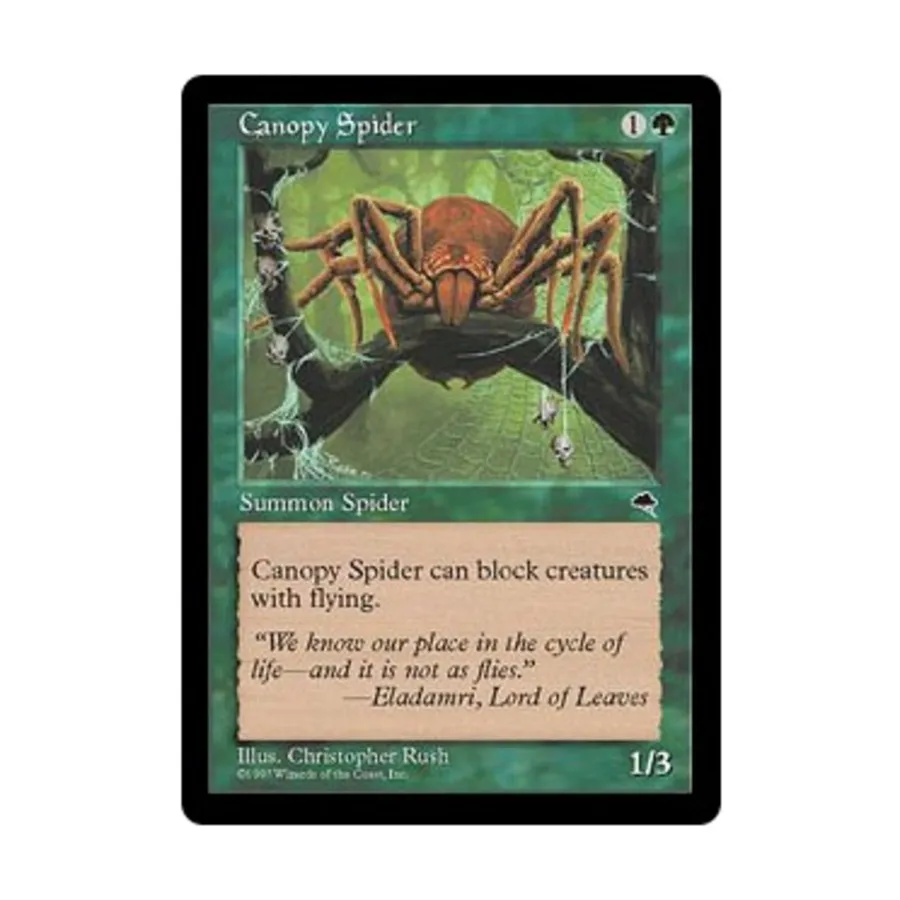

CCG Капюшонный паук (С), MTG - Tempest