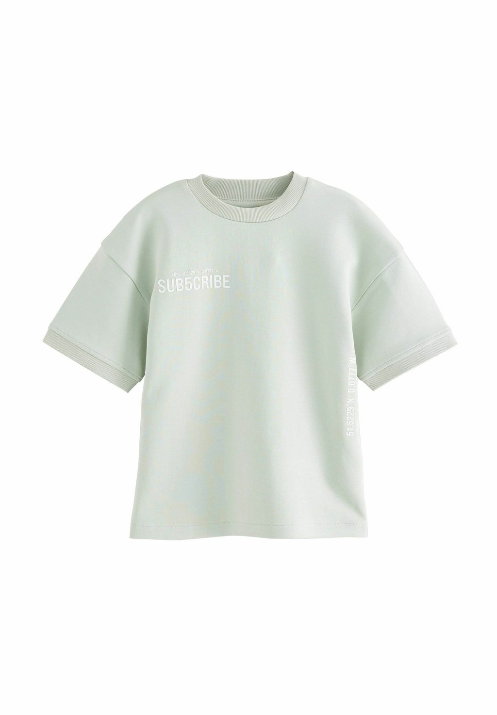

Футболка с принтом GRAPHIC HEAVYWEIGHT SHORT SLEEVE Next, зеленый