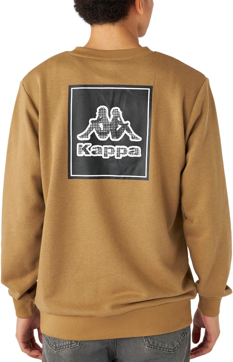 

Мужская толстовка Kappa 245360, принт на спине, художественный дизайн, темно-бежевый