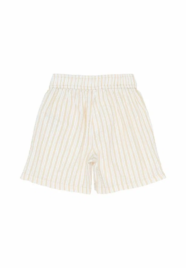 Шорты смита The New, Humus Striped — фото 4