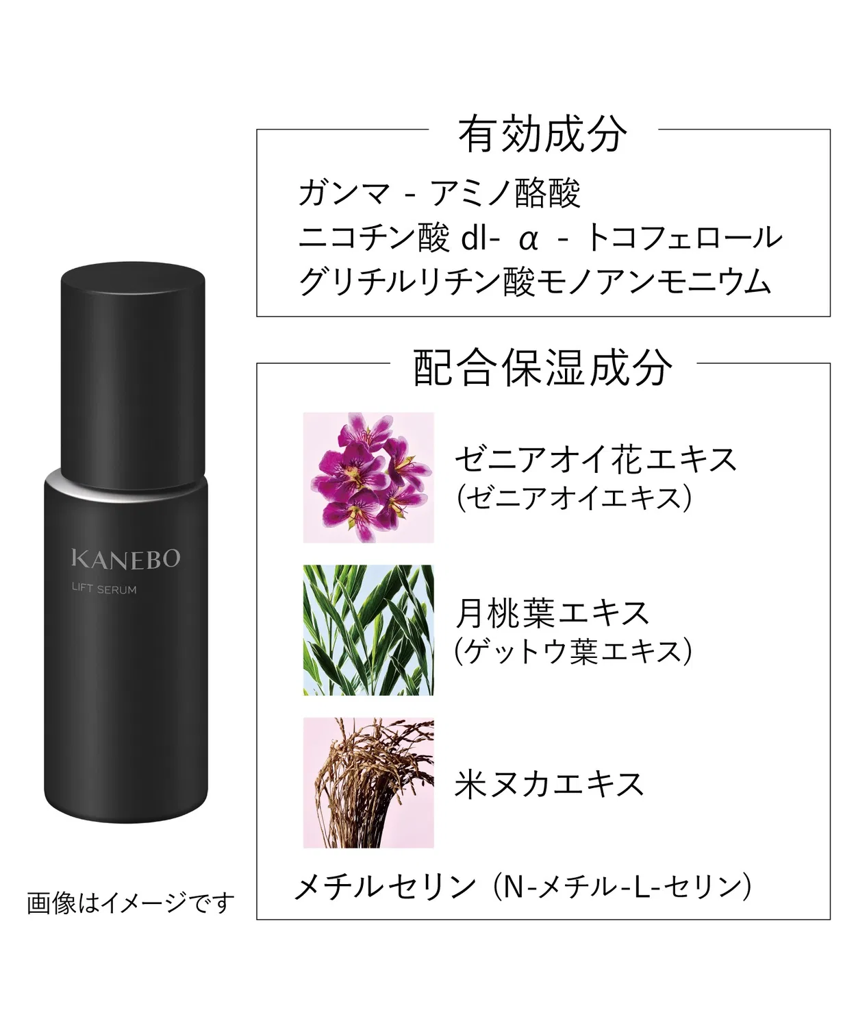 Сыворотка лифтинг-серум Kanebo Lift Serum a, 40 мл — фото 3