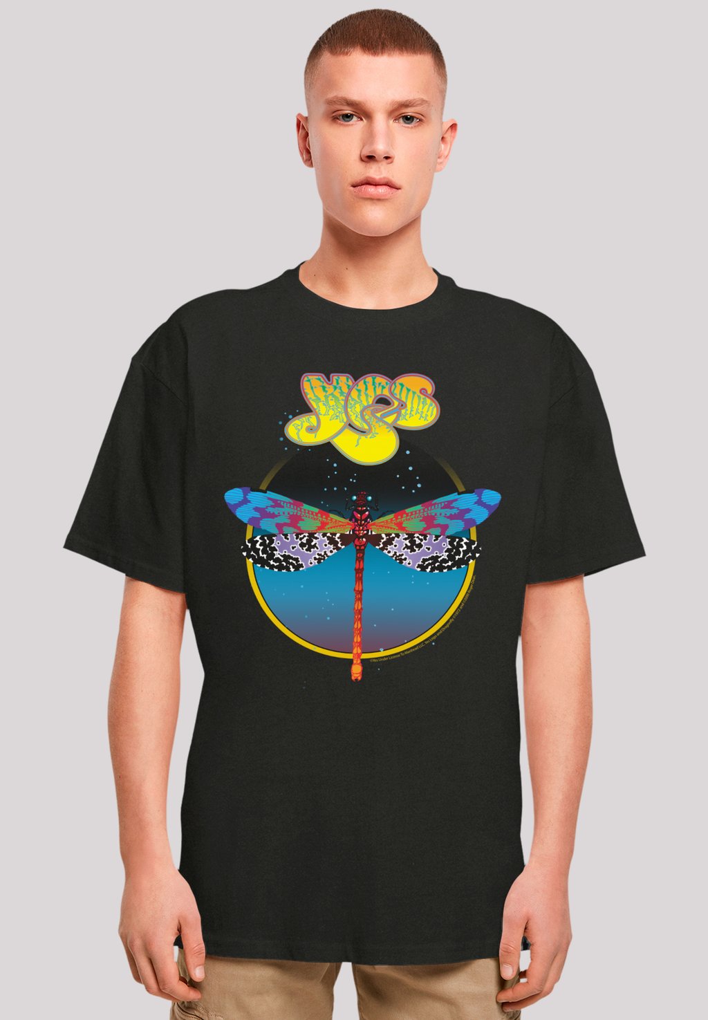 

Футболка с принтом YES DRAGONFLY TOUR V1 F4NT4STIC, черный