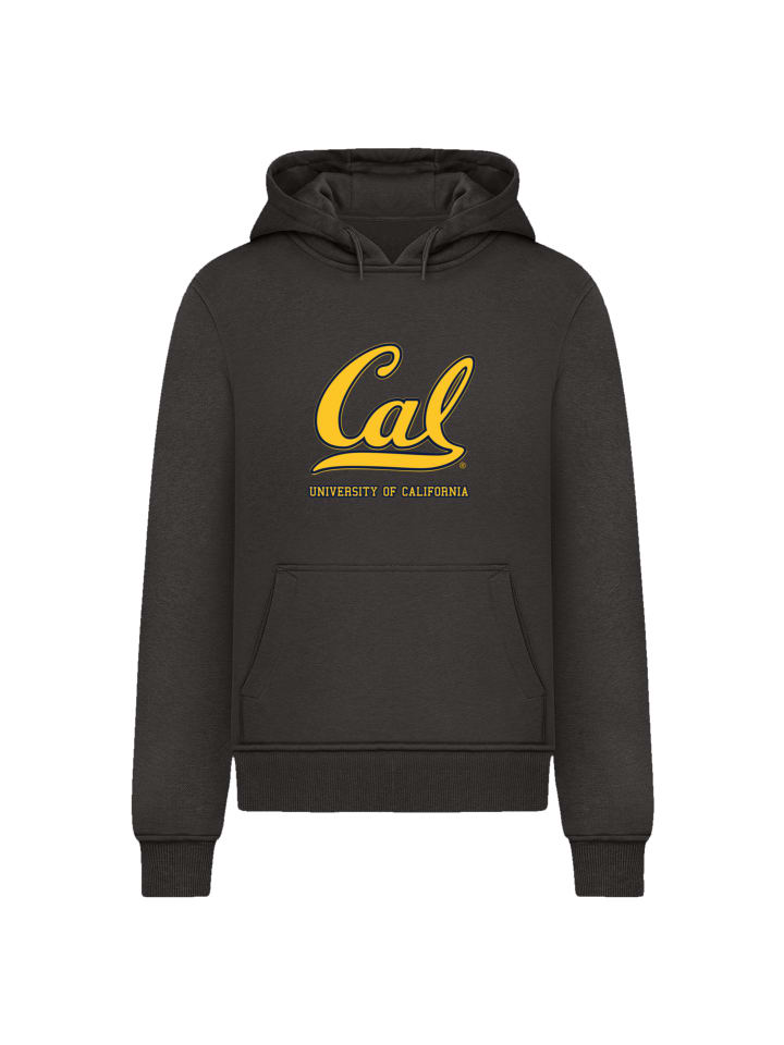 

Толстовка Berkeley CAL Pocket черного цвета F4NT4STIC