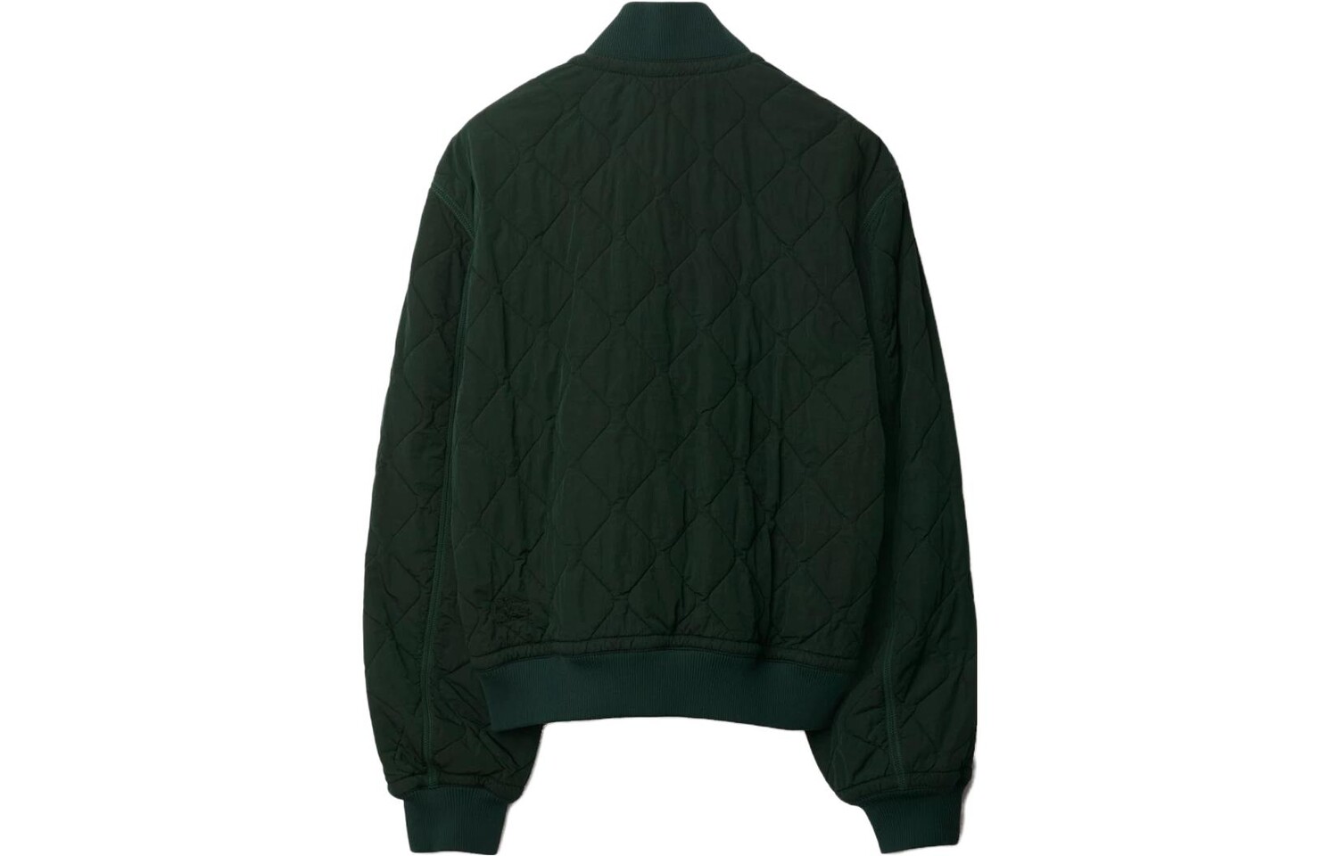 Куртка мужская Burberry Ivy Green, зеленый — фото 2