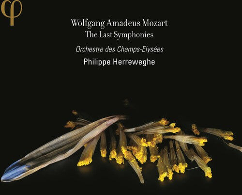 

CD диск Mozart: Last Symphonies