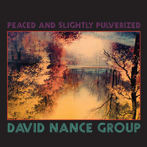 

Виниловая пластинка David Nance Group: PEACED & SLIGHTLY PULVERIZED