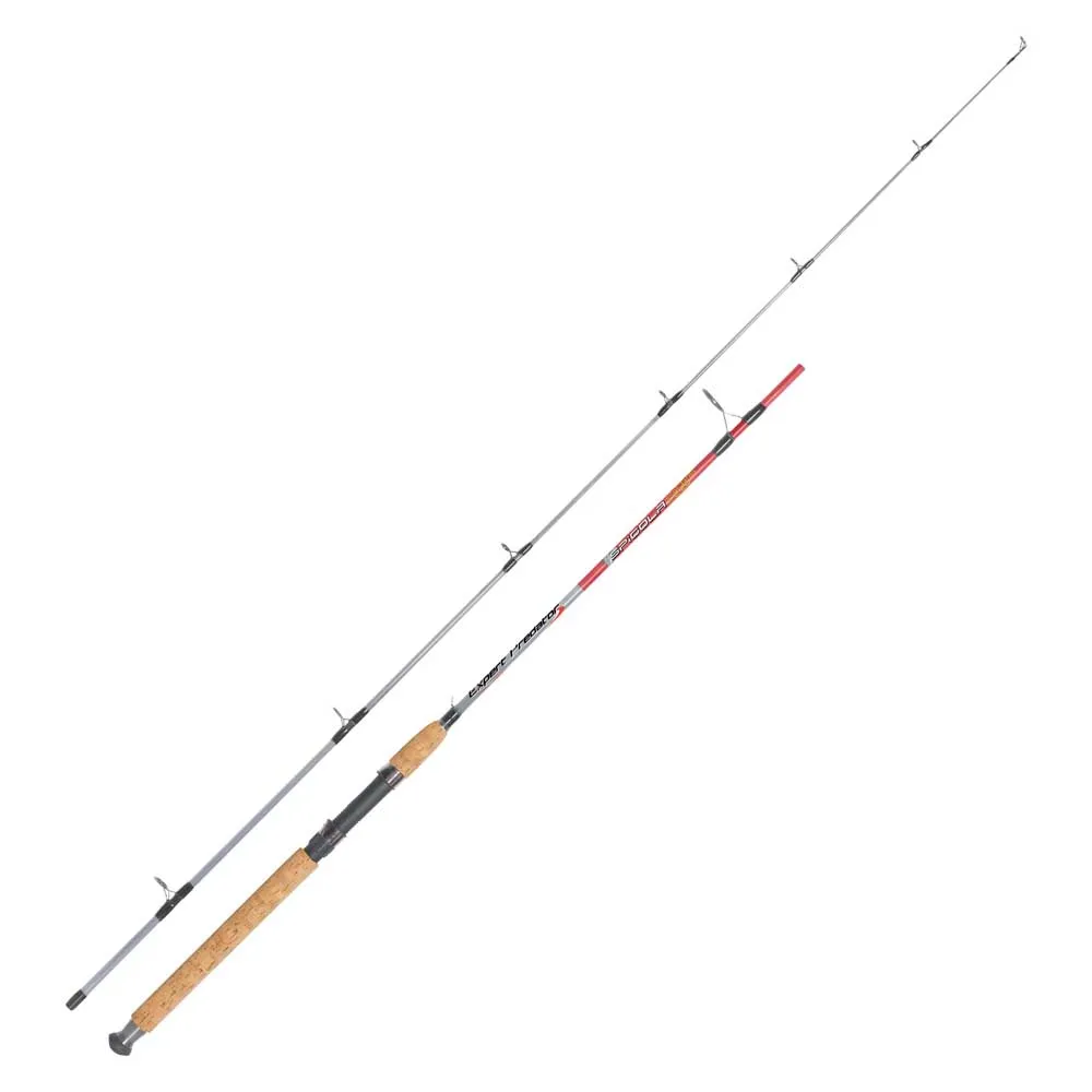 

Спиннинг Expert Predator Spigola, серебряный