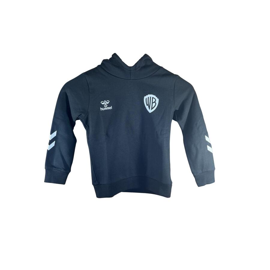 

Детская толстовка с капюшоном Hummel Celebrating Story