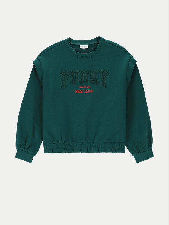 

Толстовка regular fit Coccodrillo, зеленый