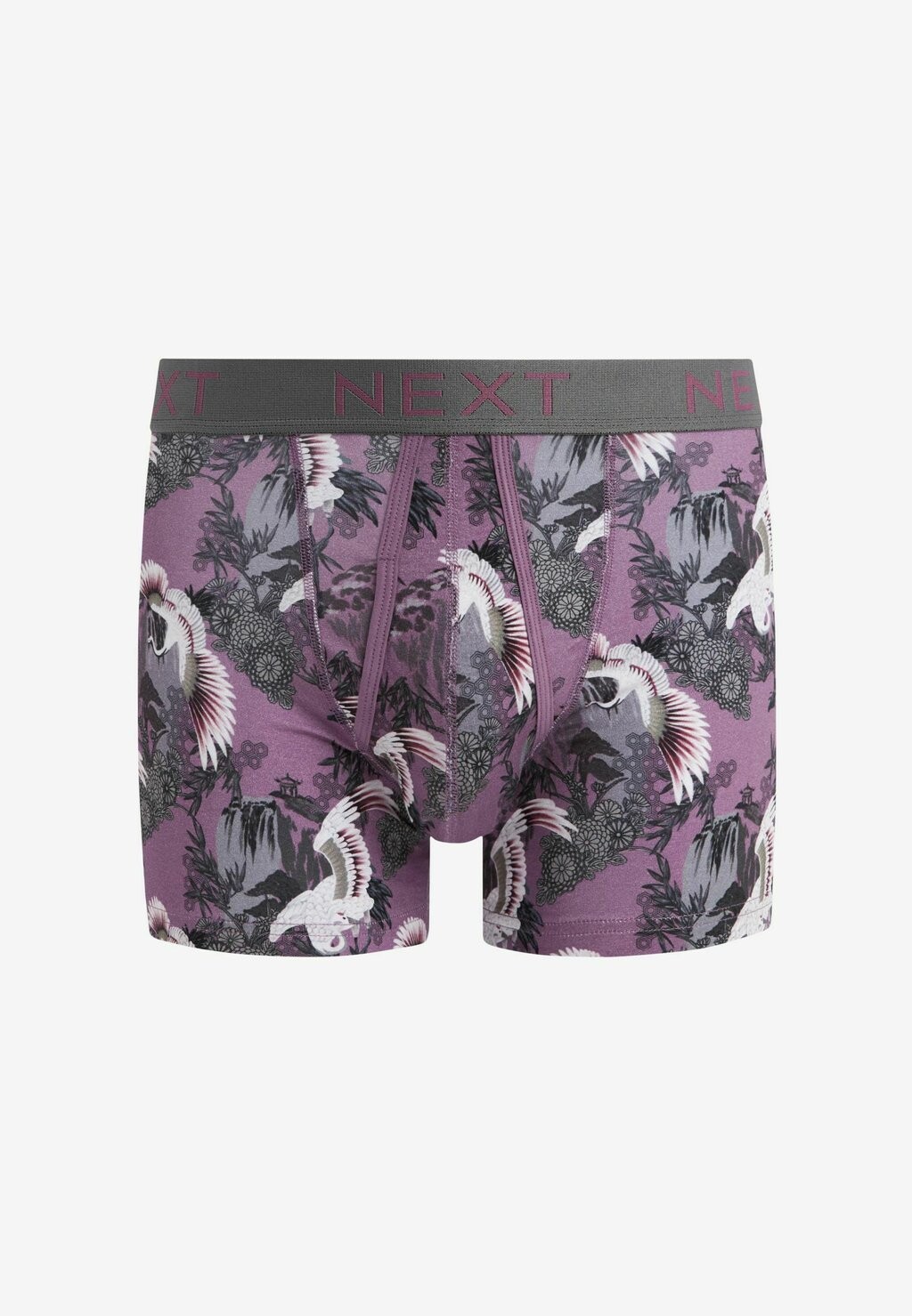 Брюки DINOSAUR PRINT FOUR PACK Next, синий — фото 3