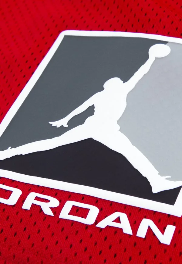 Спортивные штаны Jordan, Gym Red — фото 4