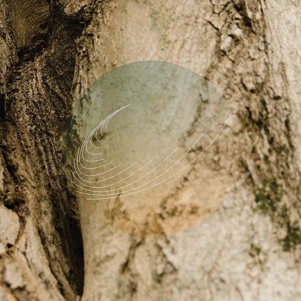 

Диск CD Maples, Ash, & Oaks: Cedars Instrumentals - Field Works