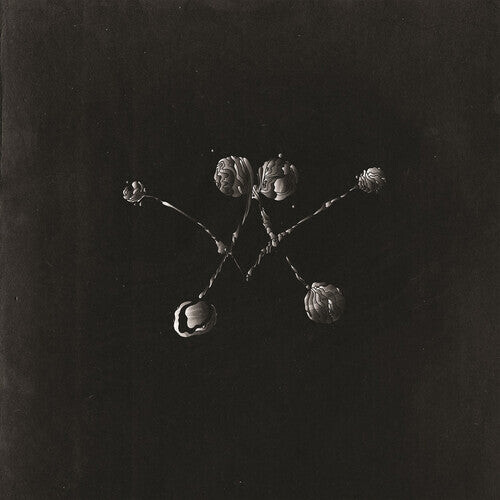 

Виниловая пластинка Waterstrider: Nowhere Now