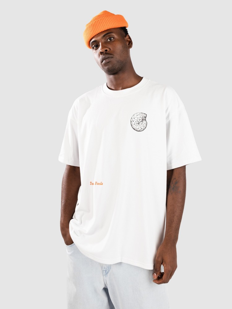 Футболка Nike ACG ACG Oc Fossils T-Shirt, summit white — фото 2