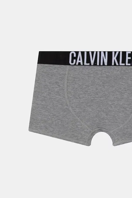Боксеры детские из хлопка с эластаном 2 шт Calvin Klein Underwear, серый — фото 4